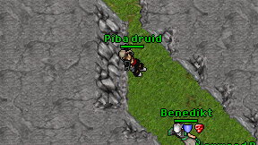 Piba druid on screen
