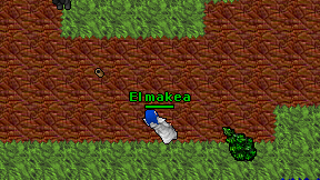 El makea on screen