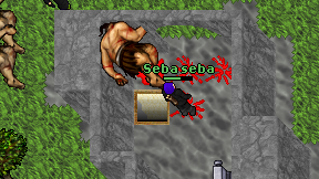 Seba seba on screen