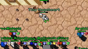 Tiny Mageheart on screen