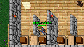 Ambroisie on screen