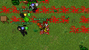 Ankahra on screen