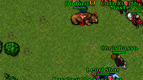 Dodorion on screen