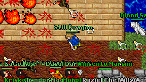 Still Dragon on screen