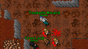 Tonkpils Wizard on screen