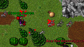 Czarny Raven on screen