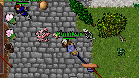 Kamikar on screen