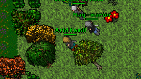 Acid Kamil on screen