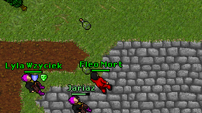 Fleo Mort on screen