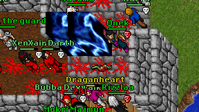 Qnek on screen