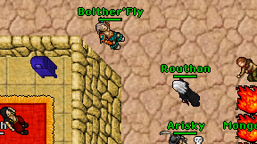 Bolther'Fly on screen