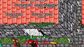 Dunga Fighter on screen
