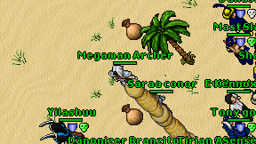 Megaman Archer on screen