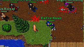 Katze Bose on screen