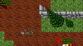 Pluki fenix on screen