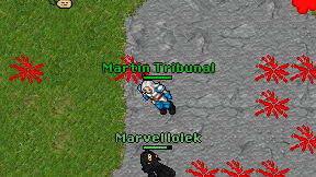 Martin Tribunal on screen