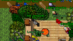 Sir zeneek on screen