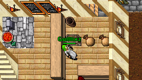 Guillixz on screen
