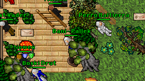 Bani-Pallek on screen