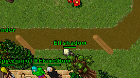 Elfshadow on screen