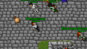 Pelopinxo on screen