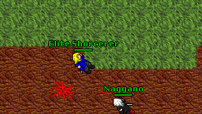 Elite Shorcerer on screen
