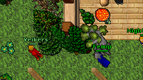 Veikers on screen