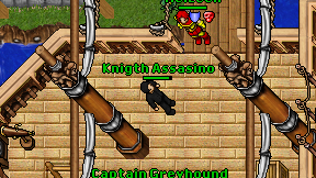 Knigth Assasino on screen