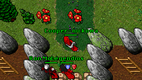 Cooper-nickowa on screen