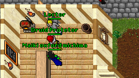 Druid Protetor on screen