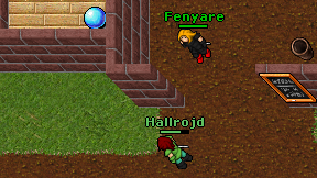 Hallrojd on screen