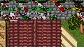 Kokoss Knight on screen
