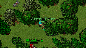 Shackira on screen