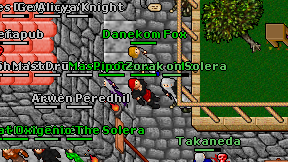Danekom Fox on screen
