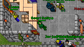 Souri Sallya on screen