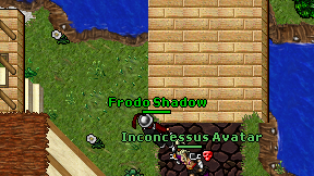 Frodo Shadow on screen
