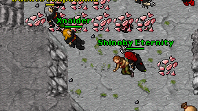 Shinoby Eternity on screen