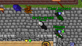 Arch-druid on screen