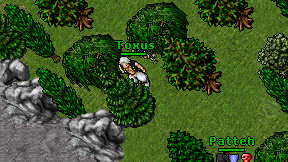 Toxus on screen