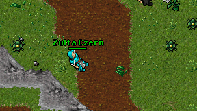 Zulta Czern on screen