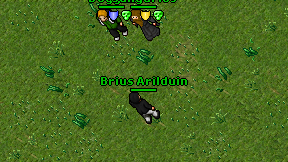 Brius Arilduin on screen