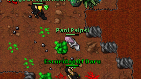 Pani Psipsi on screen