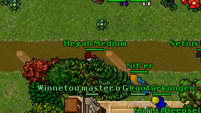 Heyah Medium on screen