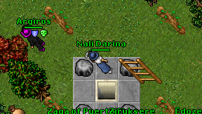Nali Darina on screen