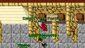 Knight Total Faction on screen