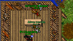 Alve verde on screen