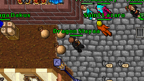 Dragon Slayaa on screen