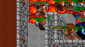 Fenix Bird on screen