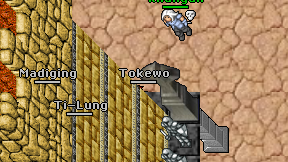 Tokewo on screen