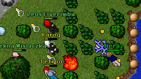 Rarog on screen